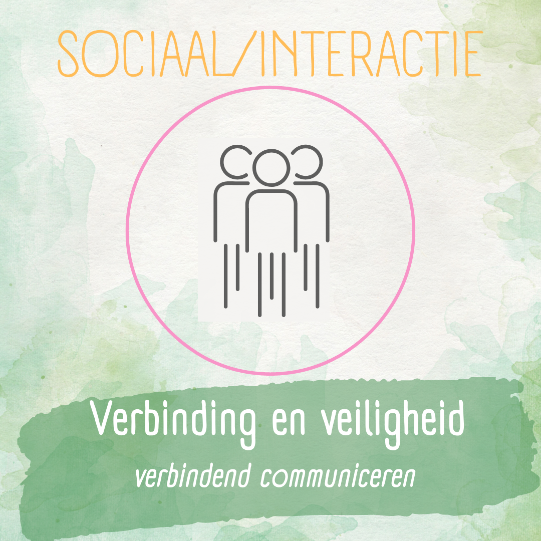 vitaliteitspijler Sociaal interactie