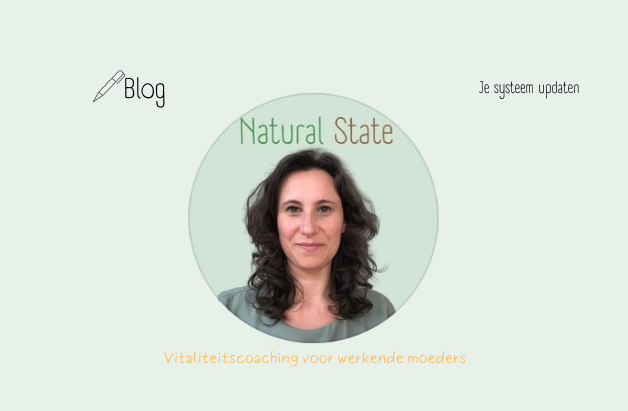 Natural State blogbericht je systeem updaten